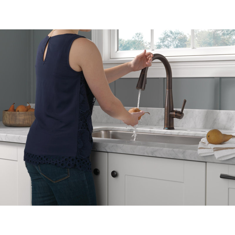 9113TDST,BLDST,ARDST Delta Essa Pull Down Touch Kitchen Faucet
